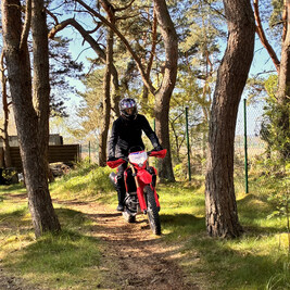 Enduro-Training mit gestellten Honda CRF 300L